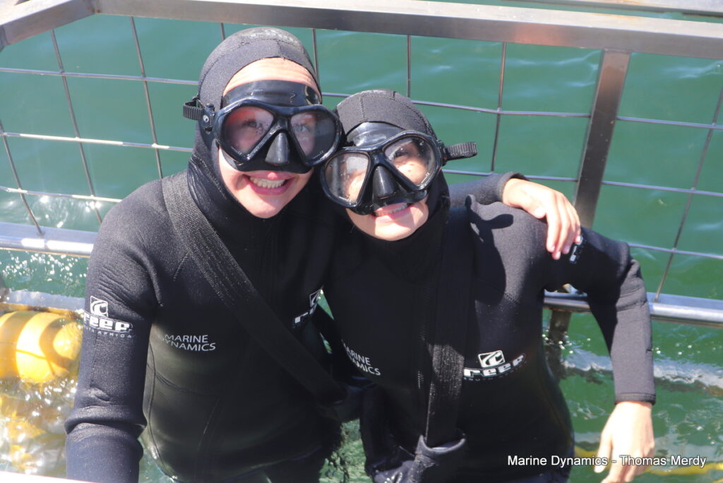 Shark cage diving, South Africa, Gansbaai