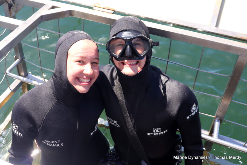 Shark cage diving, South Africa, Gansbaai