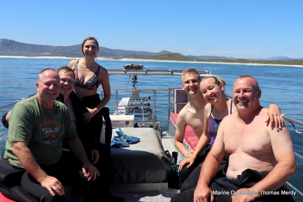 Shark cage diving, South Africa, Gansbaai