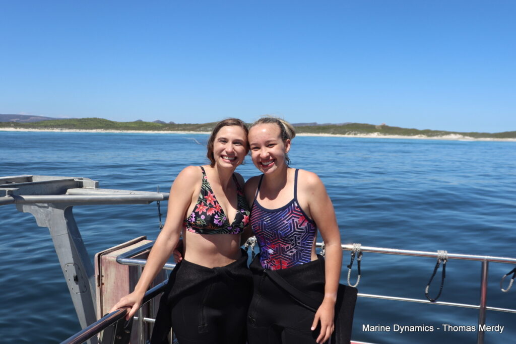 Shark cage diving, South Africa, Gansbaai