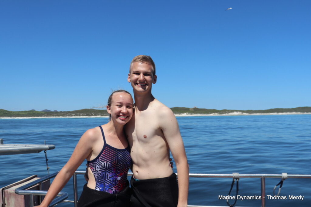 Shark cage diving, South Africa, Gansbaai