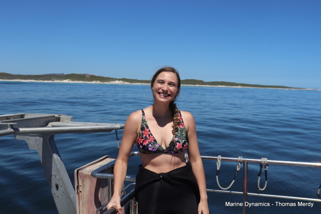 Shark cage diving, South Africa, Gansbaai