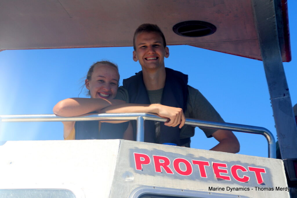 Shark cage diving, South Africa, Gansbaai