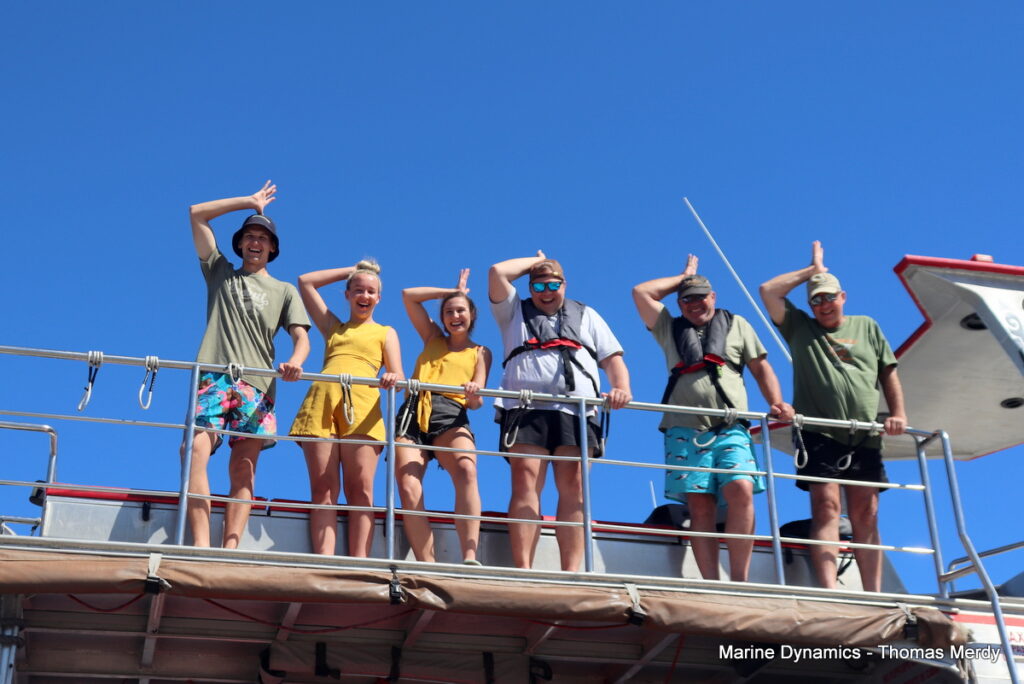 Shark cage diving, South Africa, Gansbaai