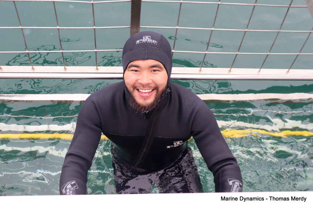 Shark cage diving, South Africa, Gansbaai