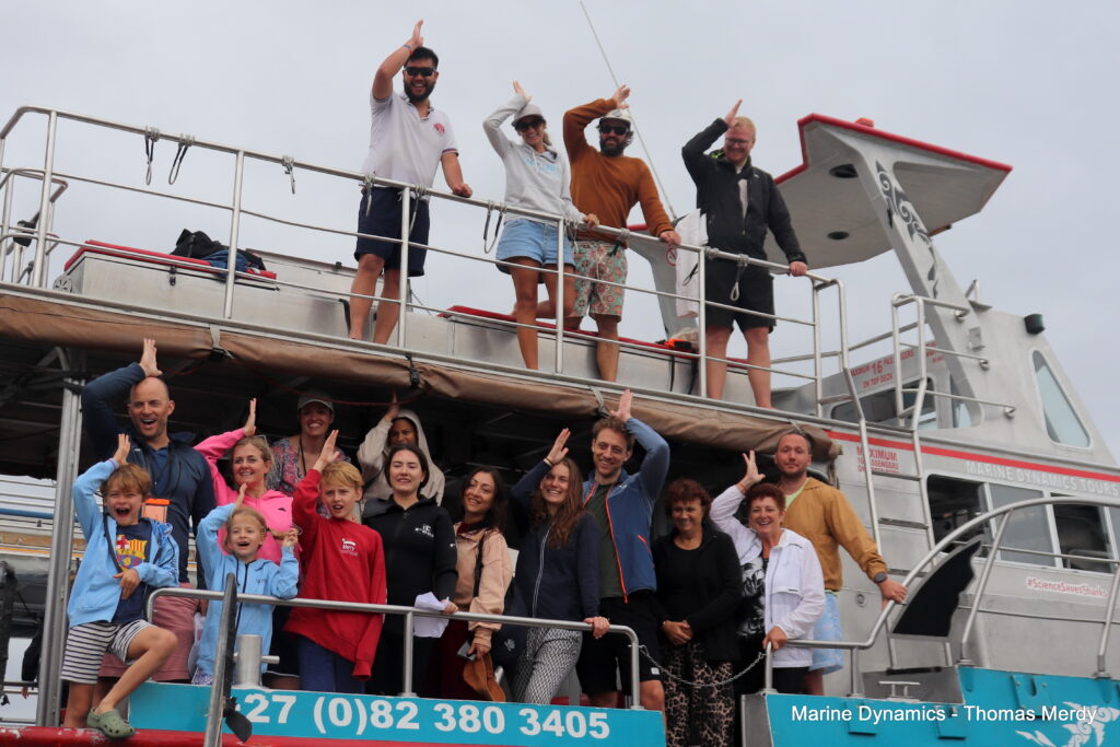 Shark cage diving, South Africa, Gansbaai