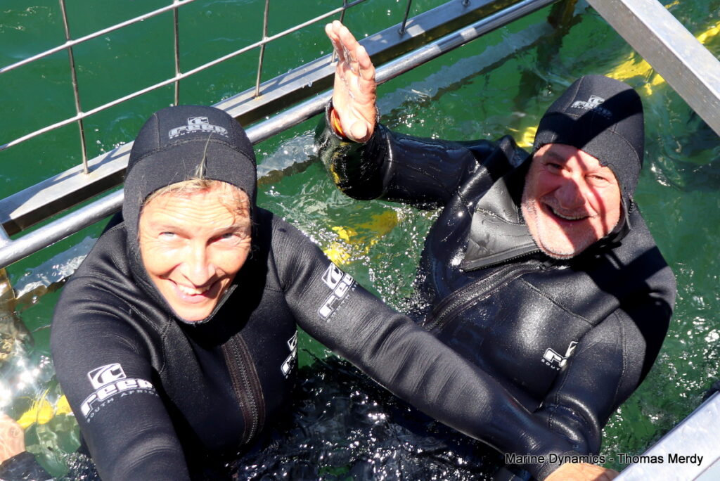 Shark cage diving, South Africa, Gansbaai