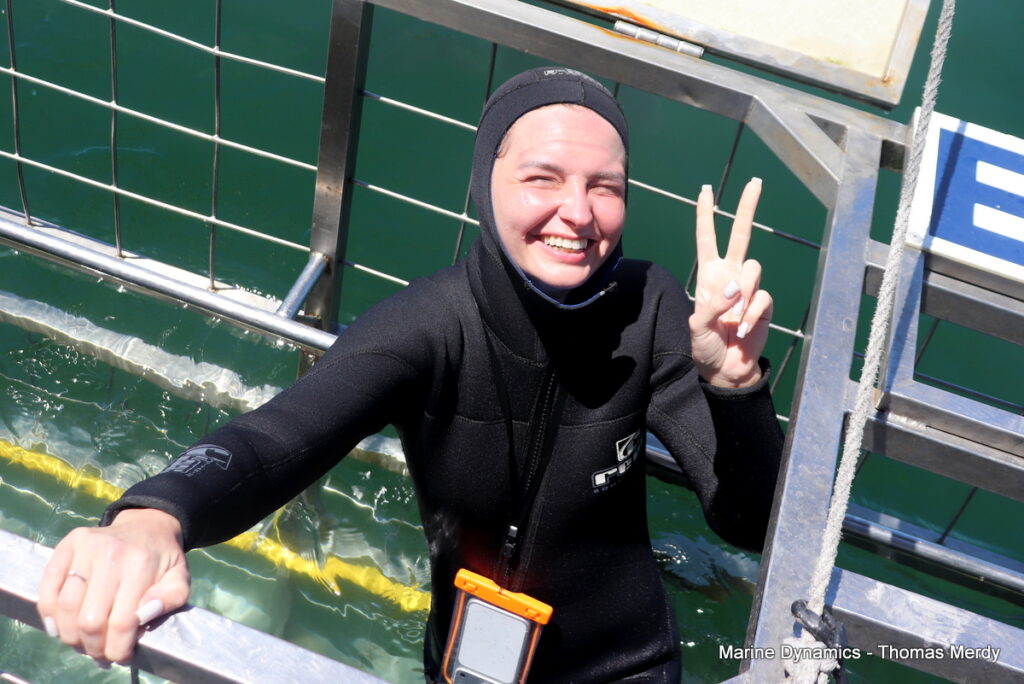 Shark cage diving, South Africa, Gansbaai