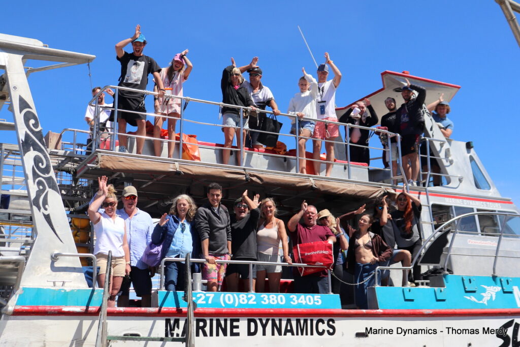 Shark cage diving, South Africa, Gansbaai