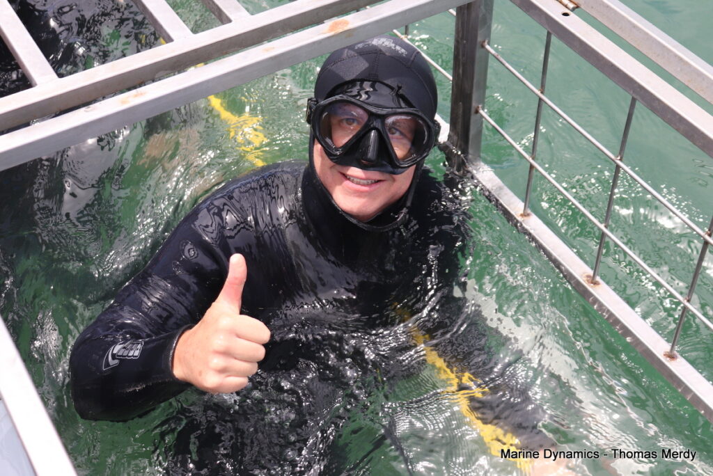 Shark cage diving, South Africa, Gansbaai