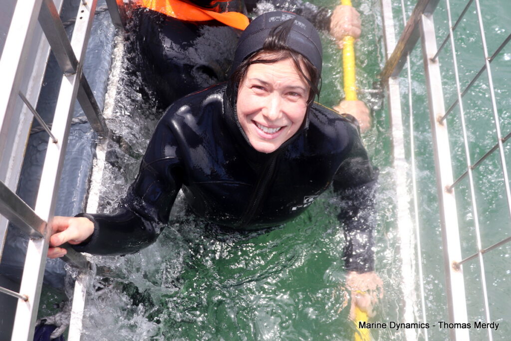 Shark cage diving, South Africa, Gansbaai