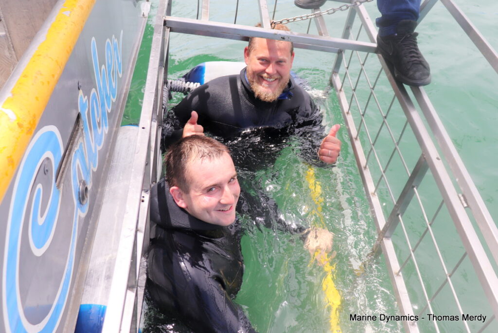 Shark cage diving, South Africa, Gansbaai