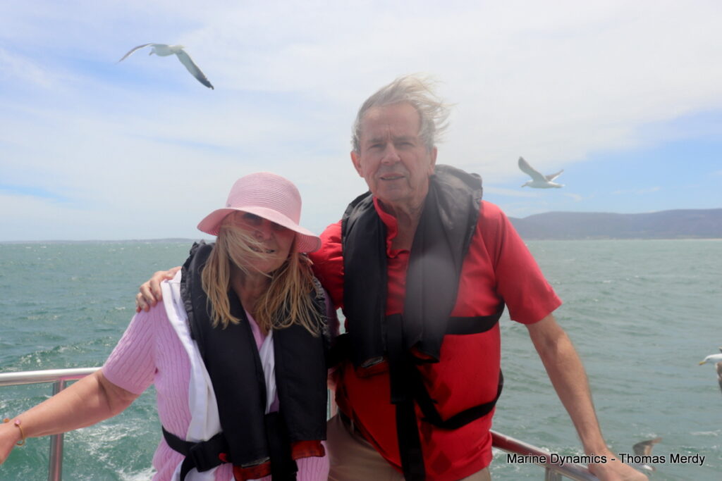 Shark cage diving, South Africa, Gansbaai