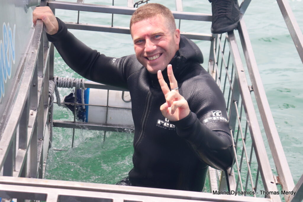 Shark cage diving, South Africa, Gansbaai