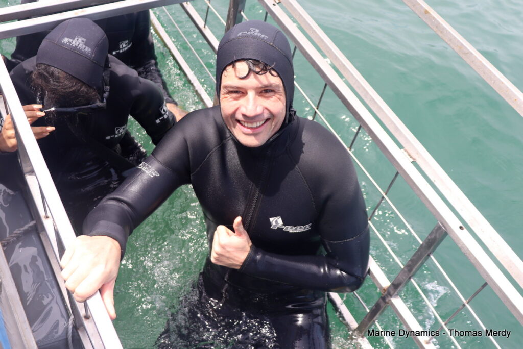 Shark cage diving, South Africa, Gansbaai