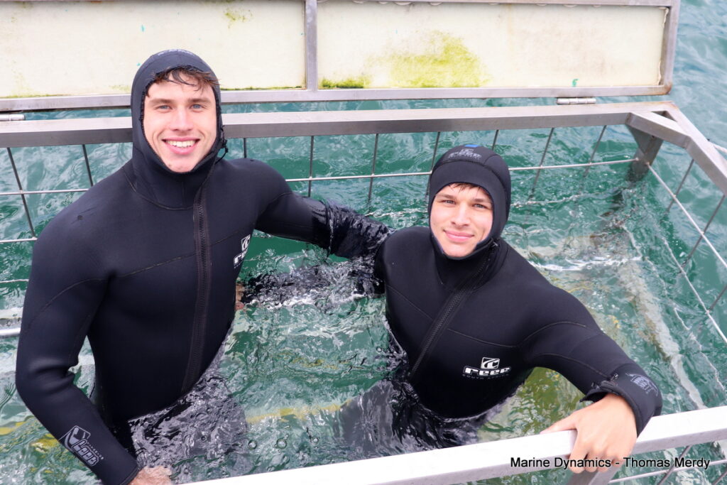 Shark cage diving, South Africa, Gansbaai