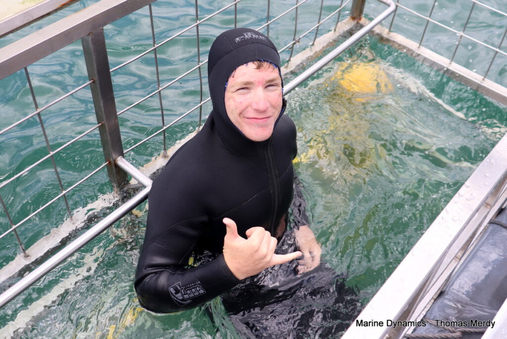 Shark cage diving, South Africa, Gansbaai