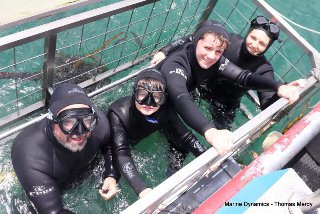Shark cage diving, South Africa, Gansbaai