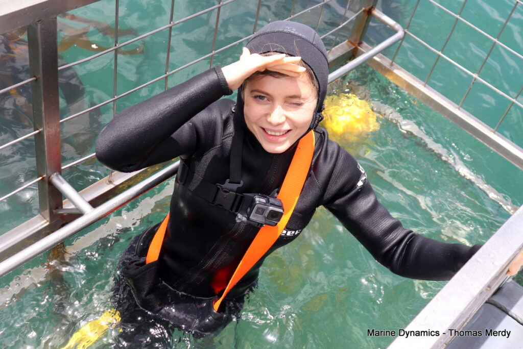 Shark cage diving, South Africa, Gansbaai