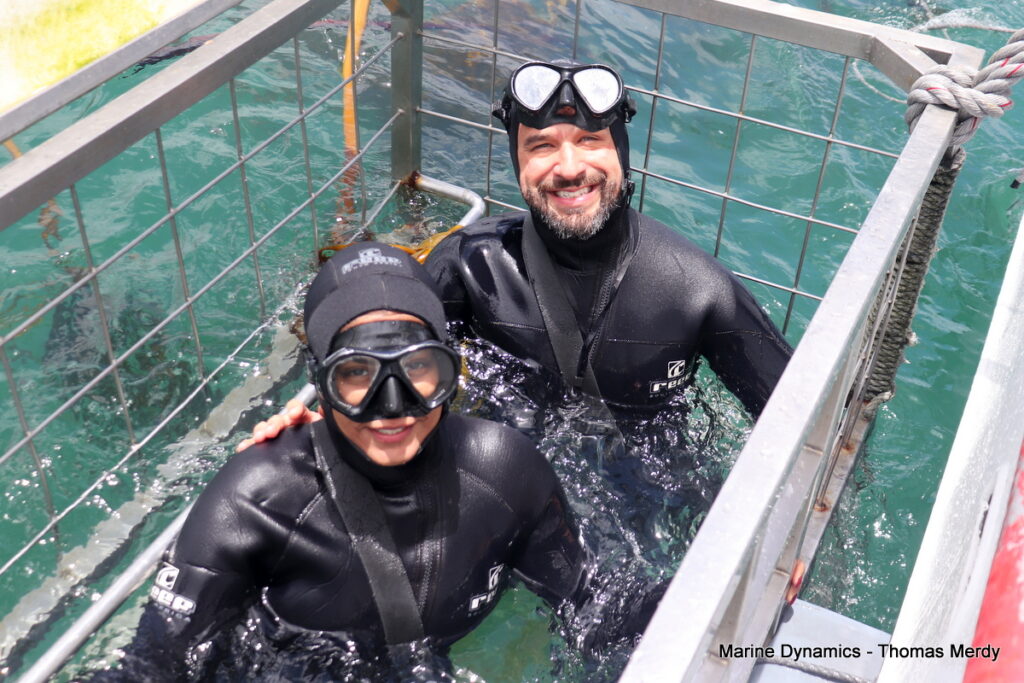 Shark cage diving, South Africa, Gansbaai