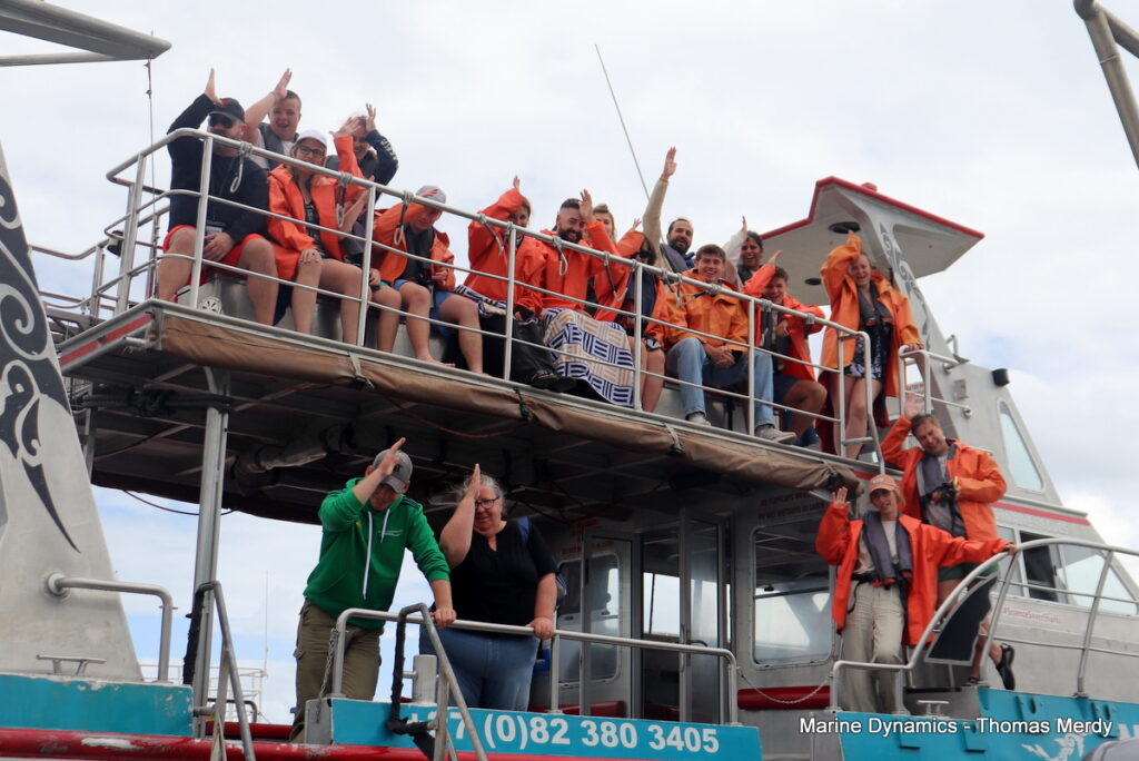 Shark cage diving, South Africa, Gansbaai