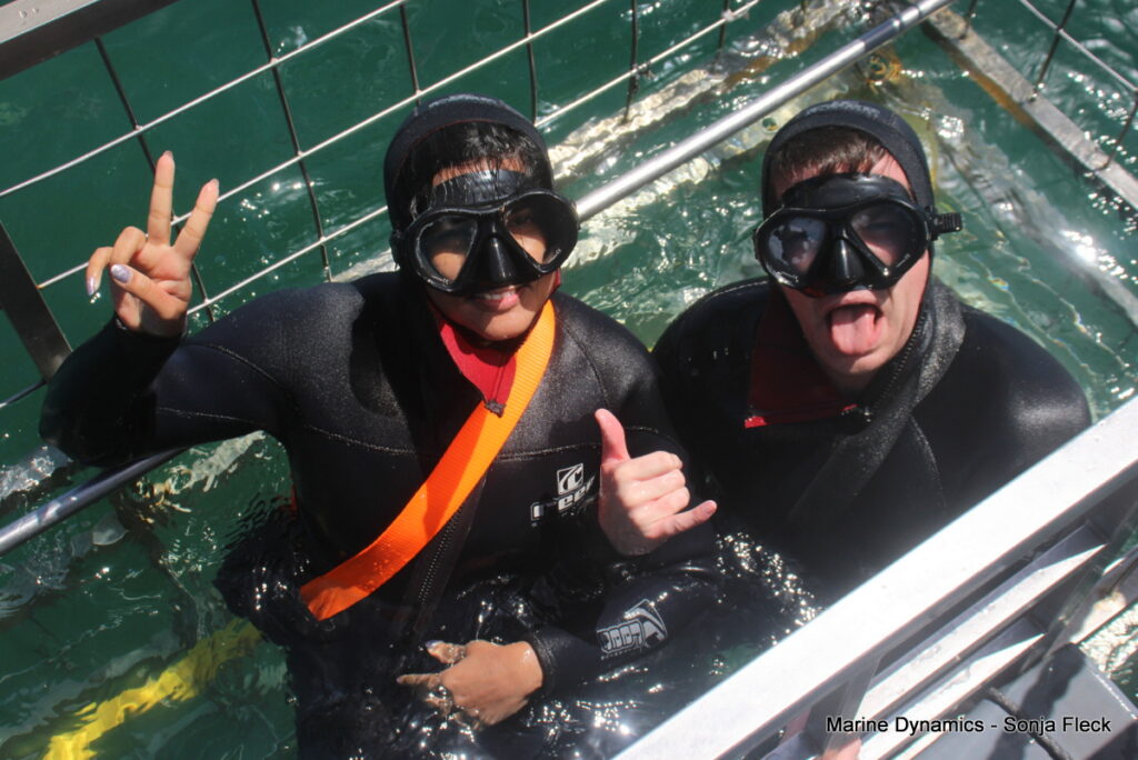 Shark cage diving, South Africa, Gansbaai