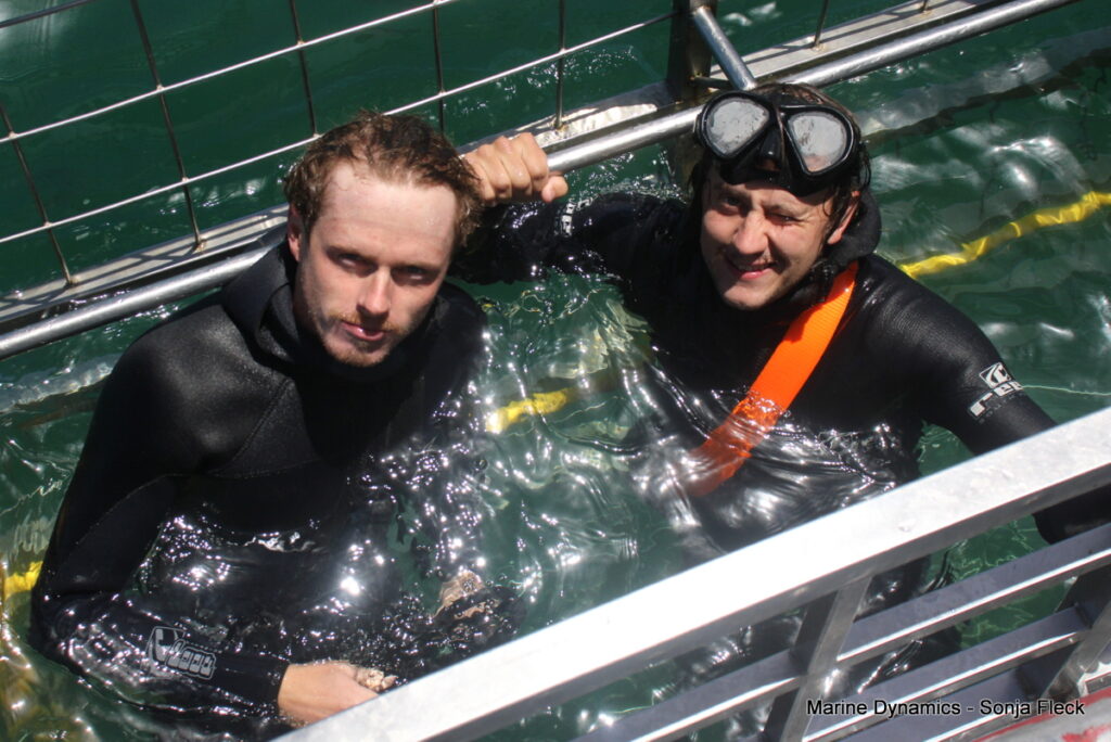 Shark cage diving, South Africa, Gansbaai