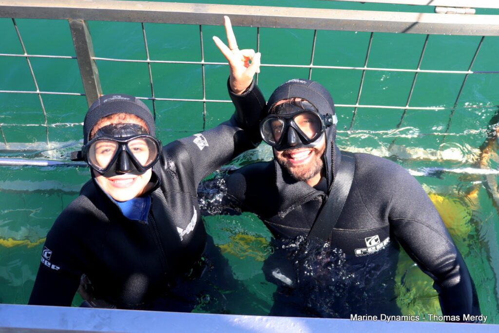Shark cage diving, South Africa, Gansbaai