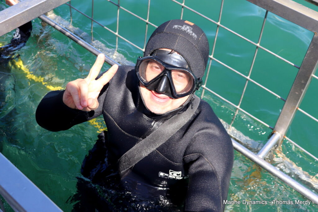 Shark cage diving, South Africa, Gansbaai