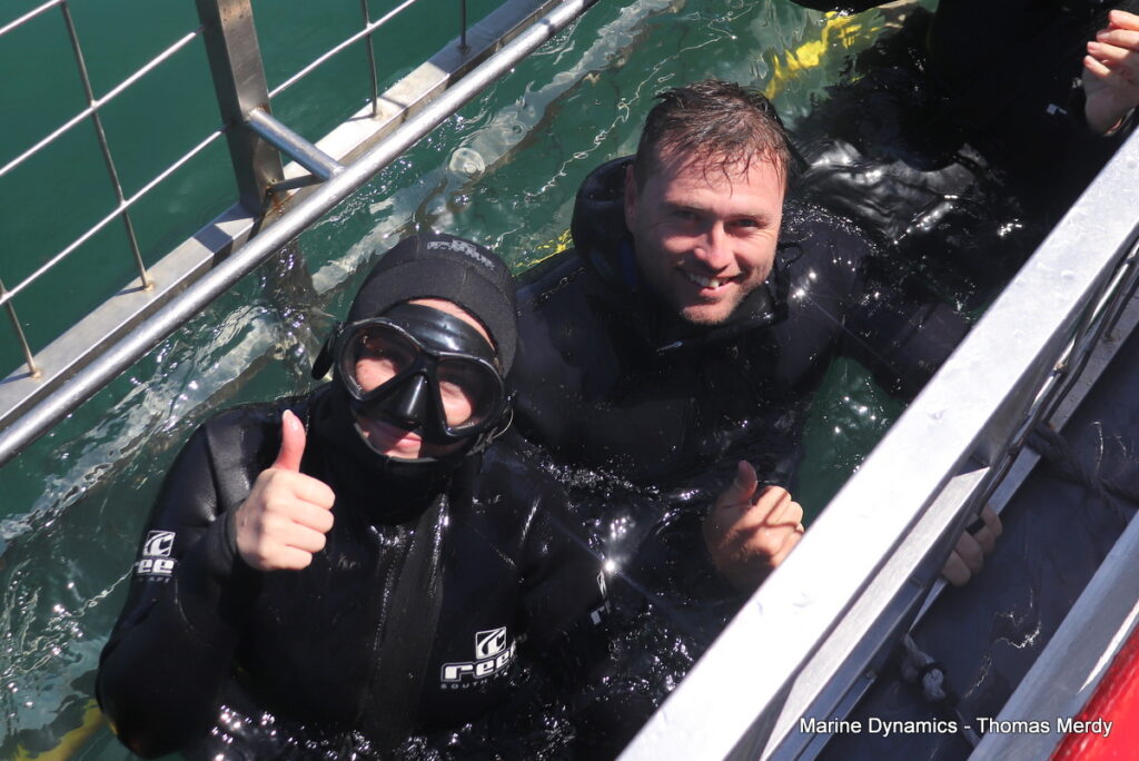 Shark cage diving, South Africa, Gansbaai