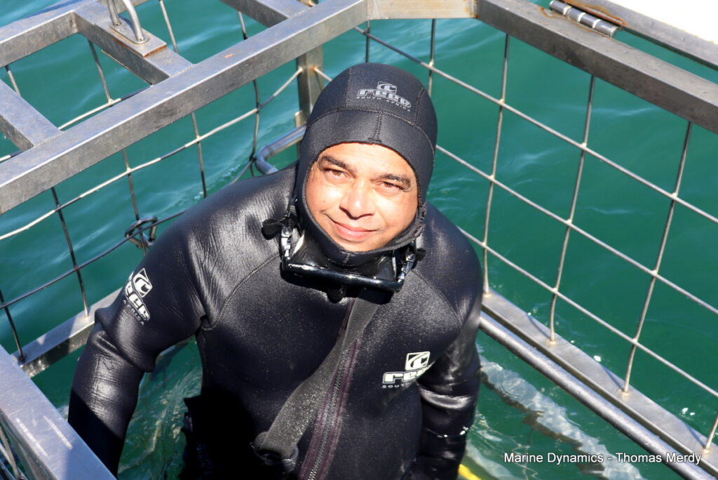 Shark cage diving, South Africa, Gansbaai