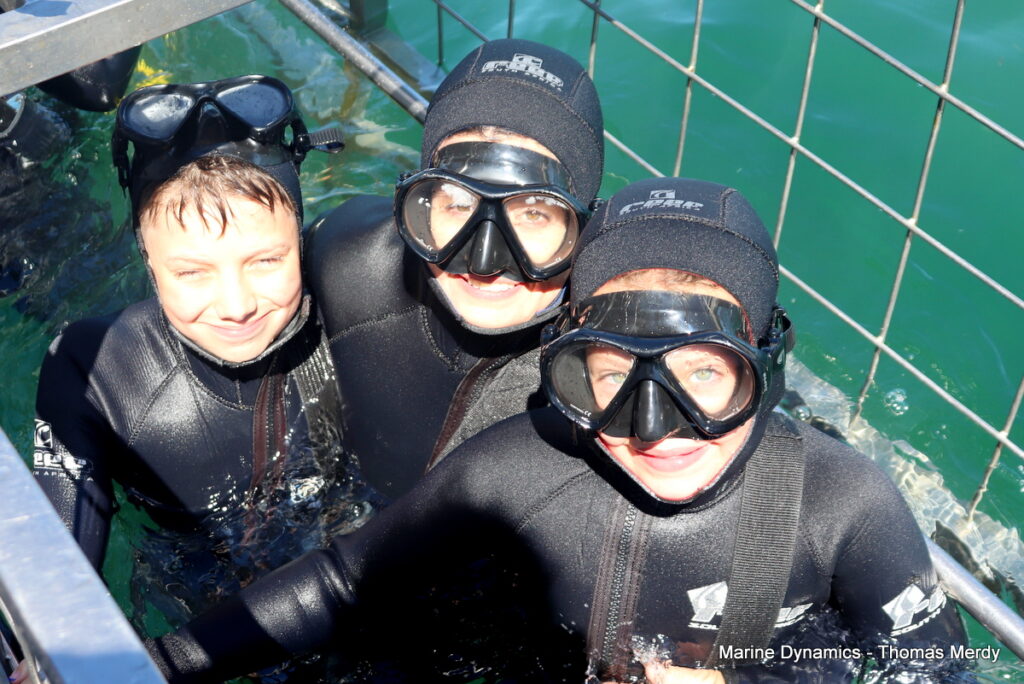 Shark cage diving, South Africa, Gansbaai