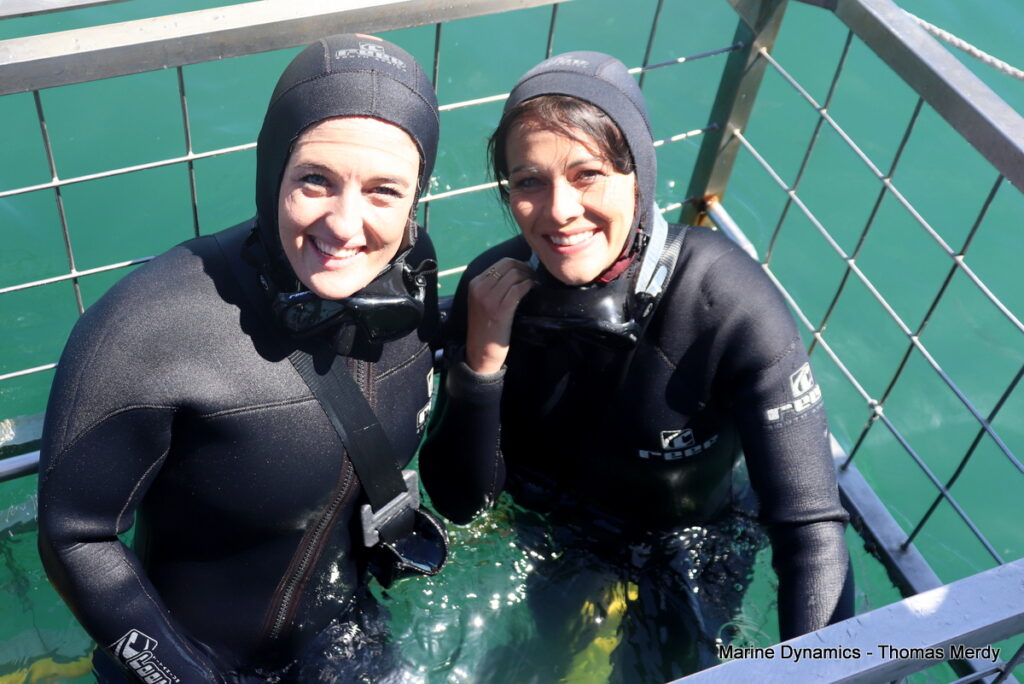 Shark cage diving, South Africa, Gansbaai