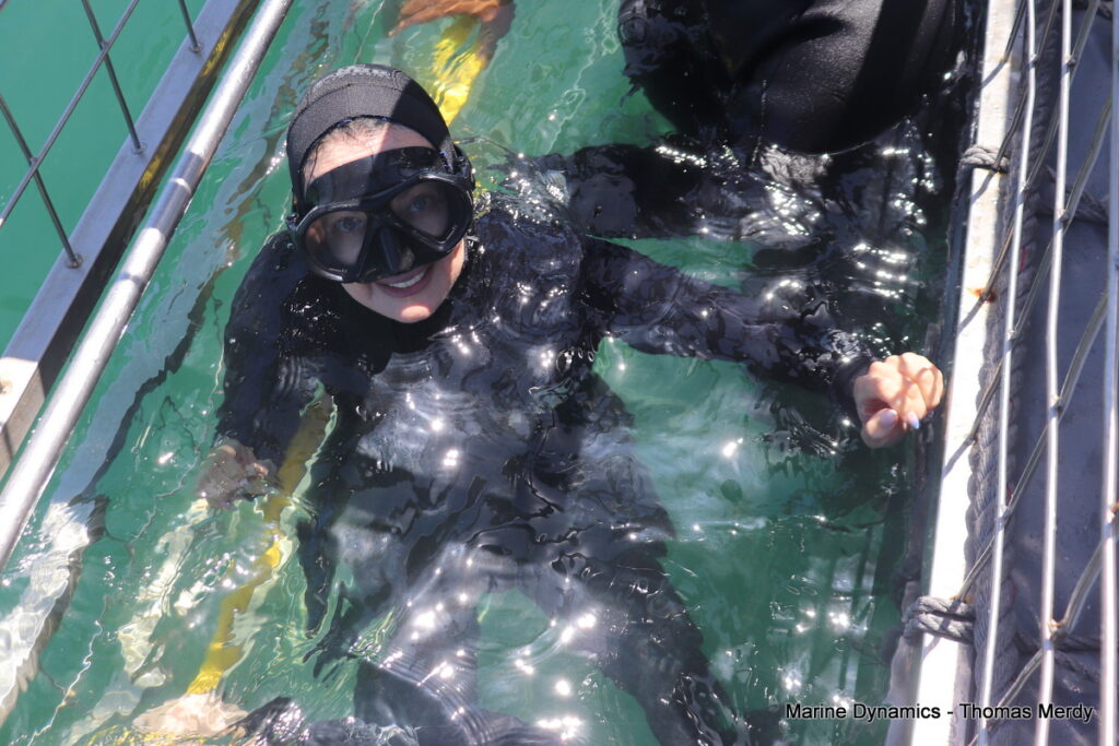 Shark cage diving, South Africa, Gansbaai