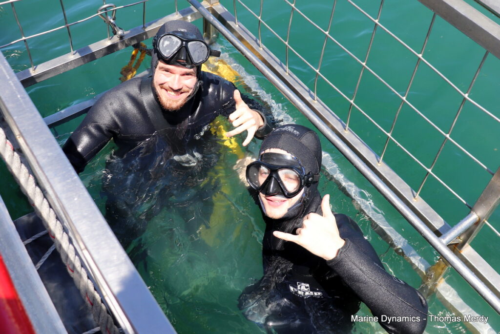 Shark cage diving, South Africa, Gansbaai