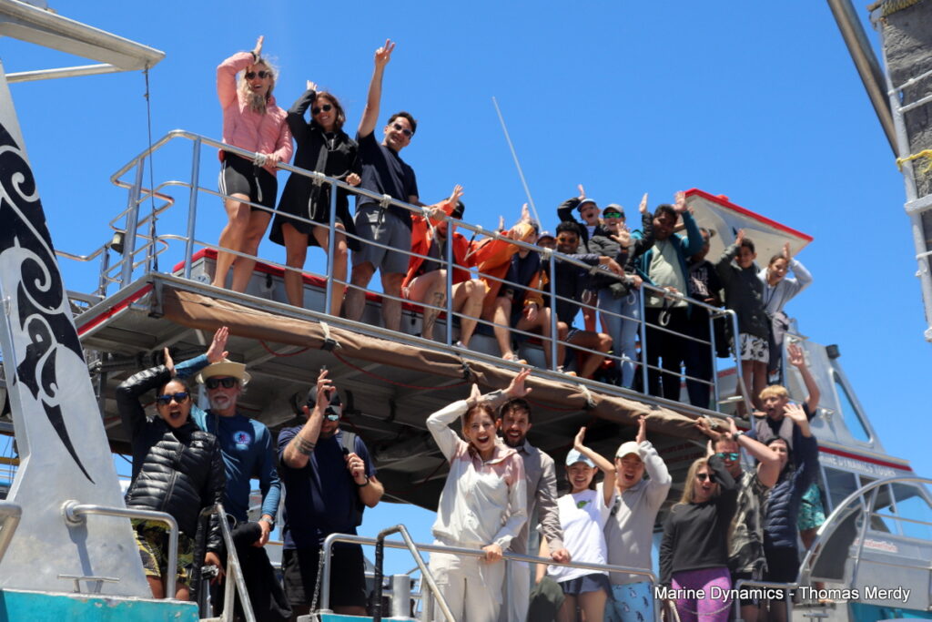 Shark cage diving, South Africa, Gansbaai
