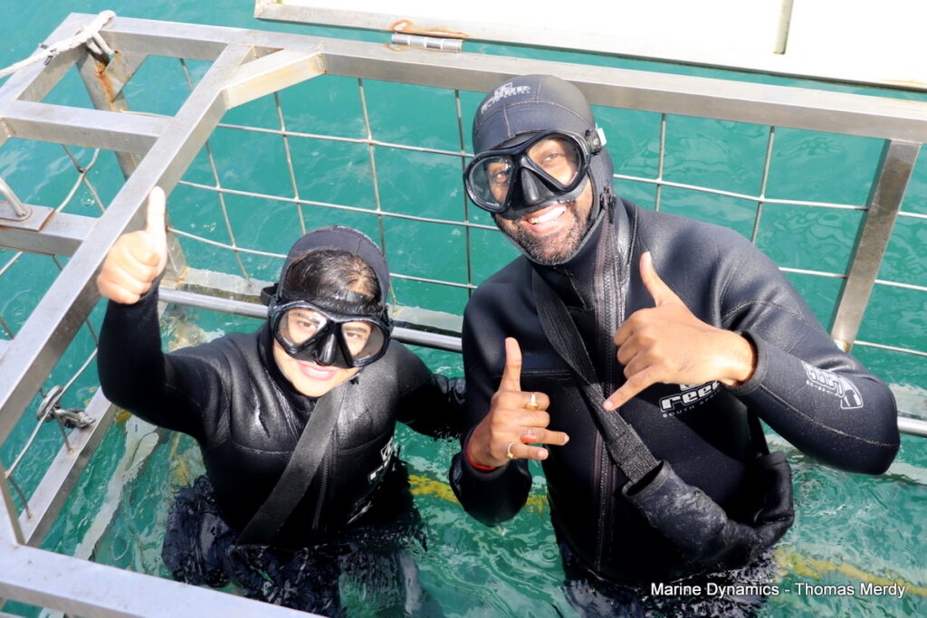 Shark cage diving, Gansbaai