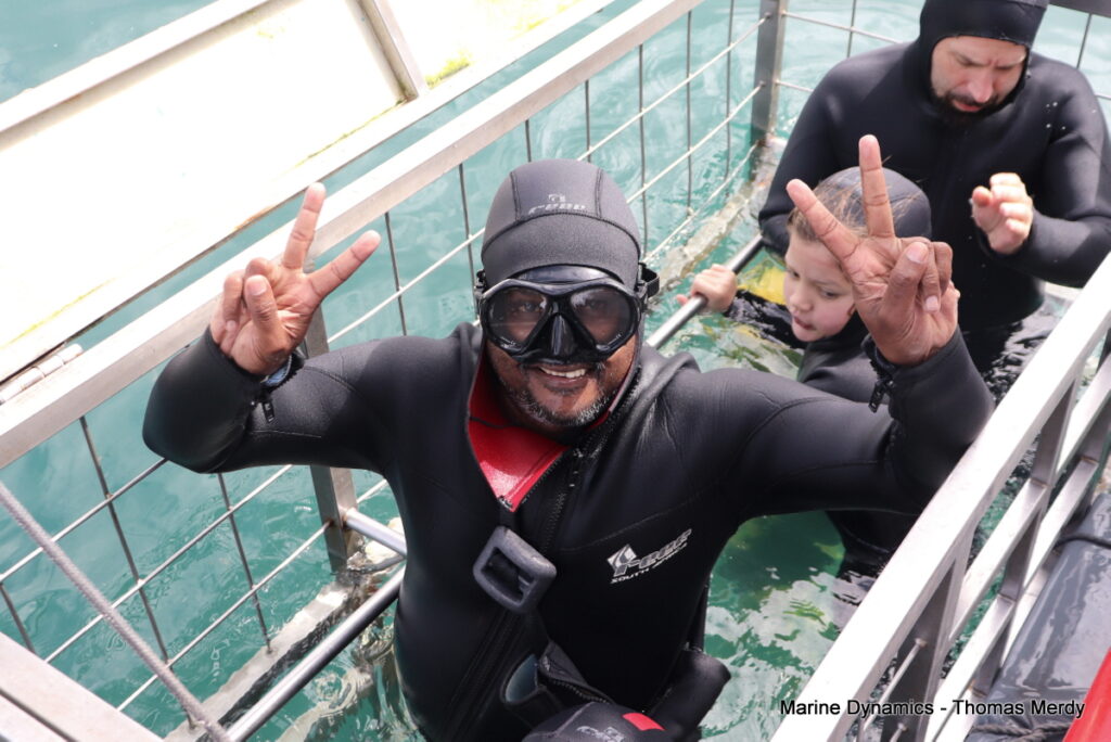 Shark cage diving, Gansbaai