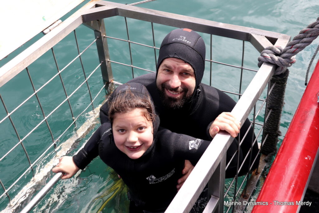 Shark cage diving, Gansbaai