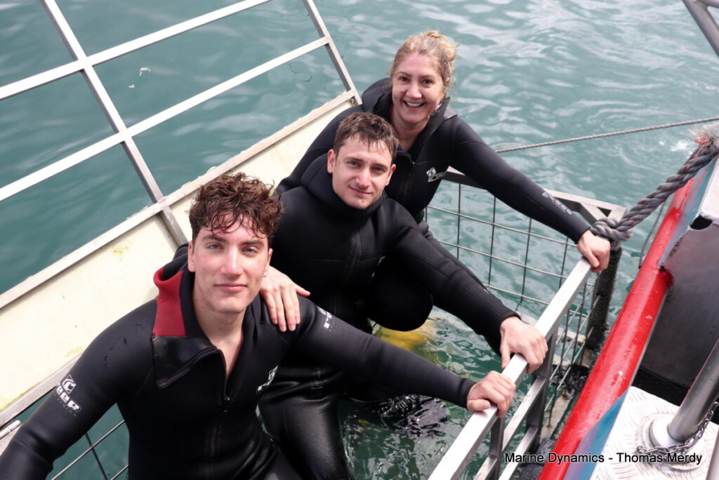 Shark cage diving, Gansbaai