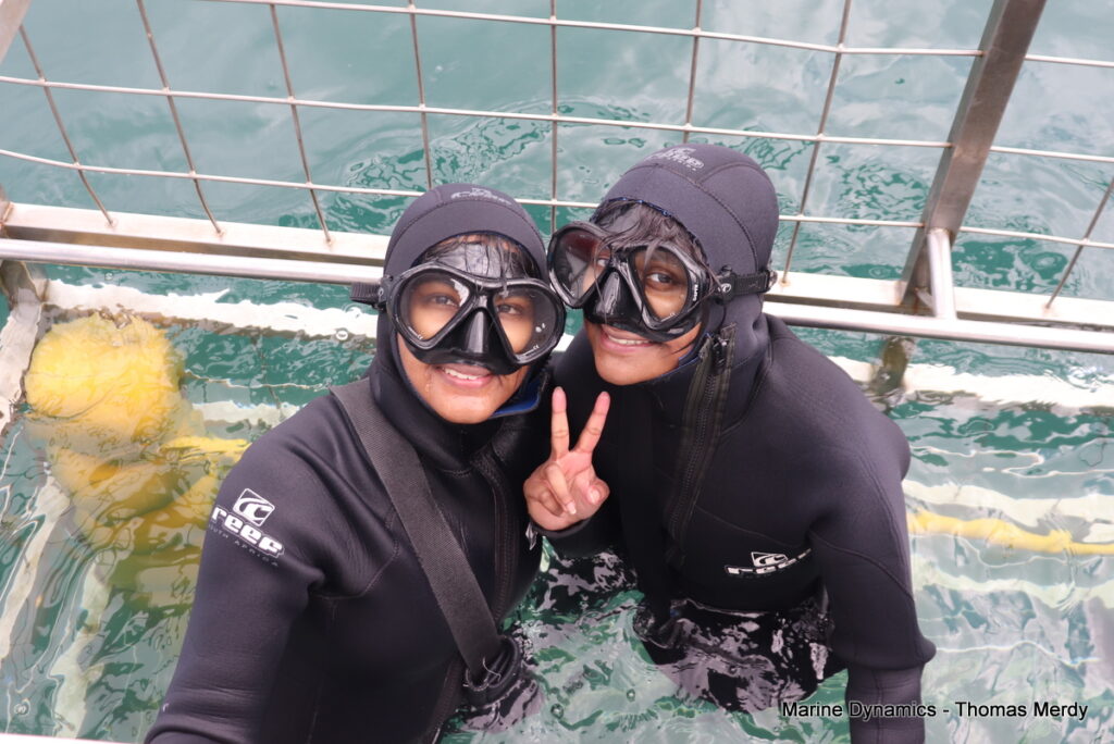 Shark cage diving, Gansbaai