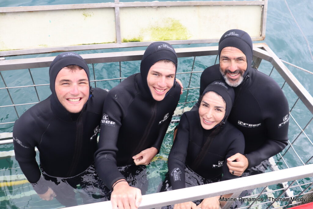 Shark cage diving, Gansbaai