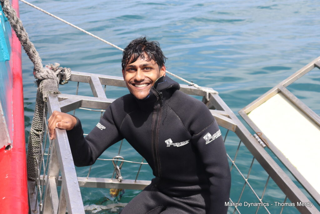 Shark cage diving, Gansbaai