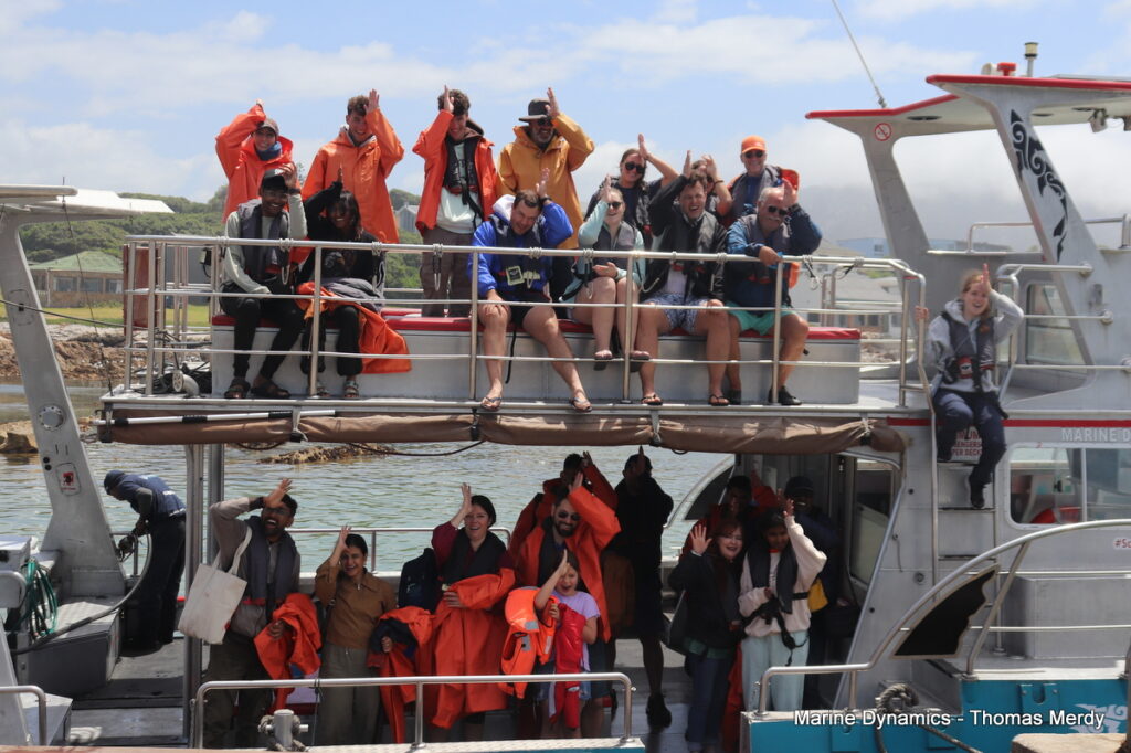 Shark cage diving, Gansbaai