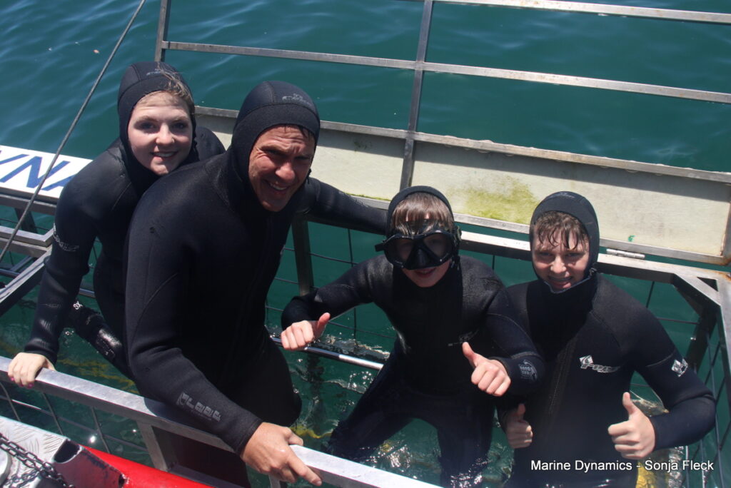 Shark cage diving, Gansbaai