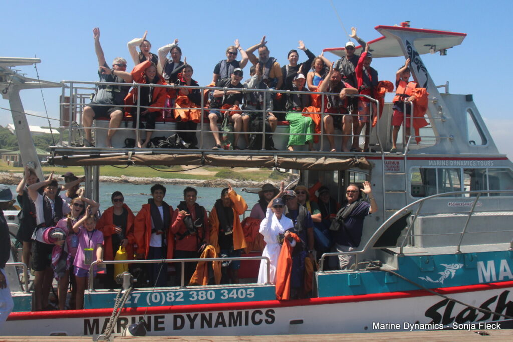 Shark cage diving, Gansbaai