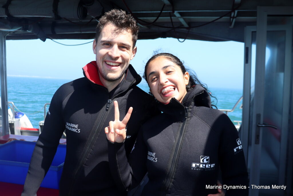 Shark cage diving, Gansbaai