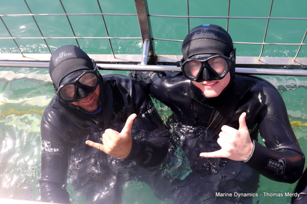 Shark cage diving, Gansbaai