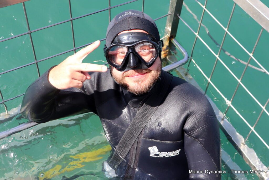 Shark cage diving, Gansbaai