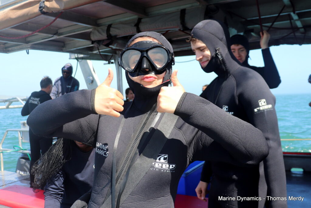 Shark cage diving, Gansbaai